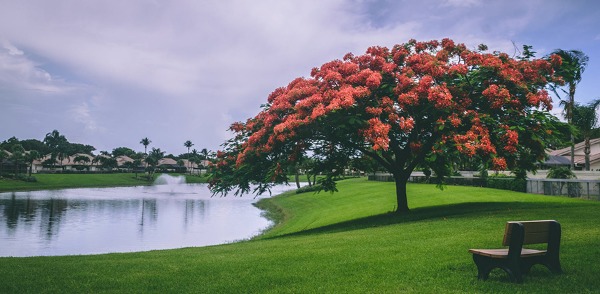 疫情過后才明白，將來老了一定要回農(nóng)村